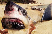 有識者「サメ映画は漏れなく間違いなく確実にクソ映画しかない」