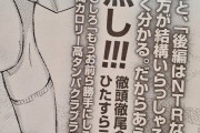 【悲報】NTR作品「NTRだよ！」←これきらい