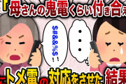 【2ch スカッと】毎日電話をかけてきて愚痴るトメ。エネ夫「母さんの気持ちも考えろ！」→夫に全てトメ電の対応をさせた結果www
