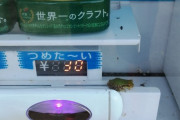 【画像】自販機にカエル売っててワロタwww