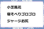小芝風花　寝そべりゴロゴロジャージお尻GIF