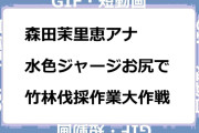 森田茉里恵アナ　水色ジャージお尻で竹林伐採作業大作戦GIF