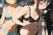 【画像】ほむさや純愛百合えっちエロ画像