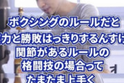 【悲報】ひろゆきのアホアホ格闘技理論、ついに現役選手に見つかってしまう