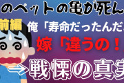 【前編】嫁が大切にしていた亀が死んだ。俺が寿命だったんだよと慰めても違うと言ってきかない→戦慄の真実【2chゆっくり】