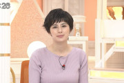 【画像】Nスタのホラン千秋さんの乳を