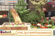 【画像】平野レミ、NHKで男性器料理作って放送事故ww早わざレシピ2020秋の「ビョンビョンきゅうり」と「ピザの斜塔」が大反響！