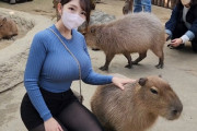 【youtube】爆乳ニットπ女による日本の動物園めぐり