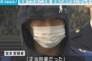 【悲報】宇都宮線暴行事件「向こうが先に手を出した。俺も完全に頭に血が上った。」