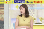 【画像】日テレ 岩田絵里奈アナのおっぱいがたまらない