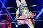 【プロレス動画】フワちゃん、とんでもない受け身を取ってしまうｗｗｗ