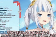 【悲報】海外トップVtuberさん「日本の番組ってバカっぽくて…テレビ消したわw」