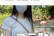 【画像】女YouTuberさん、ノーブラお散歩配信で200万再生余裕ｗｗｗｗｗｗｗｗｗｗｗｗｗｗｗｗｗｗｗｗｗ