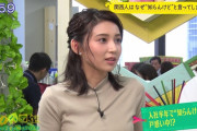 【画像】MBS美女アナ 野嶋紗己子さんのお乳がエッチエチｗｗｗｗｗ