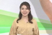 【画像】NHKの豊島実季アナ、ケツも胸もデカくてエロすぎる