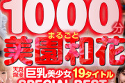 【VR】1000分まるごと美園和花 天真爛漫巨乳美少女19タイトル収録SPECIAL BEST