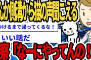 【2chいい話スレ】「なんか側溝から猫の声聞こえる。この辺か？」警察「なーにやってんの！」【ゆっくり解説】