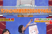 【祝】NEWGAME!ねねっち、地上派ゴールデンタイムに堂々デビュー！！