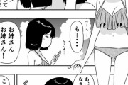 【画像あり】至高のおねショタ漫画、決まる！！！