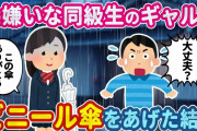 【2ch馴れ初め】俺のことを見下す大嫌いなギャルが、ずぶ濡れだったのでビニール傘をあげたらまさかの展開にw【ゆっくり】