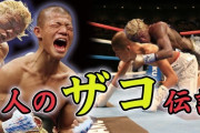 格闘家の中でボクサーが一番弱いだろｗｗｗｗｗｗ