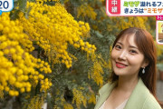 【画像】TBSの野村萬子アナ、生おっぱいを露出してリポート