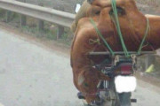 【画像】牛さん、とんでもない方法で運ばれる