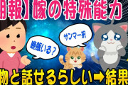 【2ch面白いスレ】嫁の特殊能力が判明！動物と話せるらしい→結果ww【ゆっくり解説】