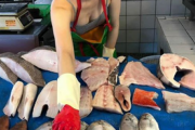 【画像】市場で、露出が激しい魚売り女の子が見つかるｗｗｗｗｗｗｗｗｗｗｗｗ