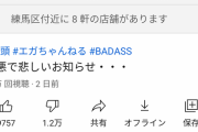 【悲報】エガちゃんねるさん、低評価率50%超の大炎上