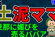 【2ch修羅場スレ】深夜に不法侵入した土泥棒ママ　旦那にすり寄るババア後編【ゆっくり解説】