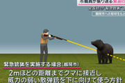 警察「ハッキリ言いましょう！拳銃でクマ退治は無理です」