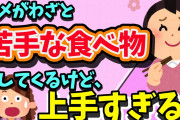 【2ch修羅場スレ】トメがわざと苦手な食べ物作ってくるけど、美味しすぎてパクパク食べてたら・・・【ゆっくり解説】