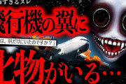 【2ch怖いスレ】翼にいた”謎のバケモノ”が飛行機を墜落させた奇妙すぎる事件【ゆっくり解説】