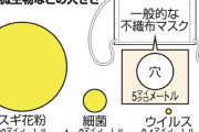 【新型コロナ】マスクが無意味だと証明されるｗｗｗｗ