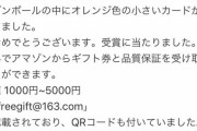 【悲報】Amazonで買い物したら箱の中にアカウント乗っ取り詐欺のＱＲコードが入れられる被害続出