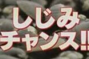 【驚愕】「しじみ汁の身を食べたら驚かれた…」食べるか食べないで意見が分かれる食べ物