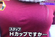 【画像】Hカップ女子「胸がデカ過ぎてブラがありません😭」←エッッッッッッ