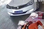 【動画】道路でお昼寝してたまんさん、車に顔面を踏みつぶされてしまう...