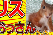 【2ch動物スレ】リスの威嚇行動、おっさんだった