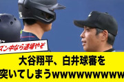 大谷翔平、白井球審を小突いてしまうwwwww【2ch野球】【なんJ反応】