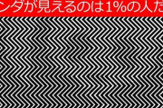 パンダがみえたら病気らしい
