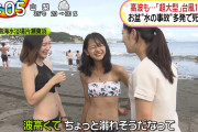 【画像】JKさん、マッマと海水浴に行ってしまう