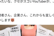 【画像】巨乳Youtuber「お●ぱい強調するだけでこんなに仕事貰えたｗ」