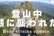 【動画】秩父で登山してた男性、クマに襲われてしまう