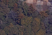 【画像】グーグルマップで近所の空撮を眺めてたら森の中に謎の神社があったわ