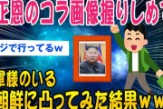【2ch面白いスレ】金正恩のコラ画像握りしめて北朝鮮に行ってみた結果ww【ゆっくり解説】
