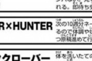 1年半休載中のHUNTER×HUNTERさん、作者の最後のコメントがこちら
