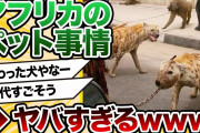 【2ch動物スレ】アフリカのペット事情、ちょっとヤバいwwwwwwwwwwww