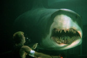 サメ映画のサメ、概念になる